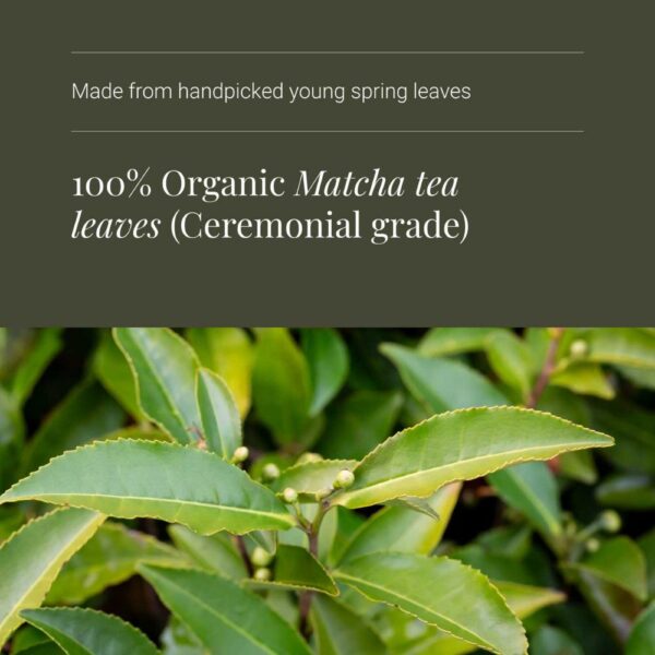 Kiki Matcha-jauhe on seremoniatasoinen luomu matcha tee