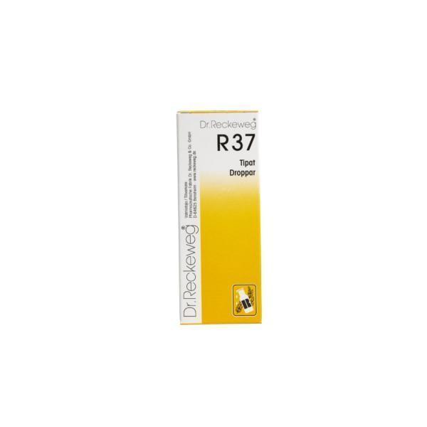 Reckeweg R37 homeopaattiset tipat