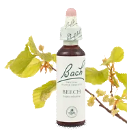 Bach Beech 20ml