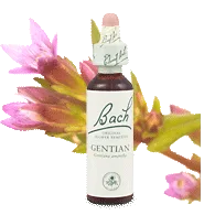 Bach Gentian 20ml
