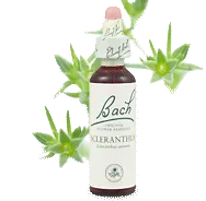 Bach Scleranthus 20ml