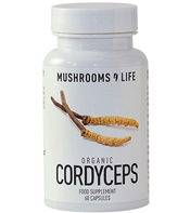 Cordyceps eli kiinanloisikka on mainio ruokasieni.