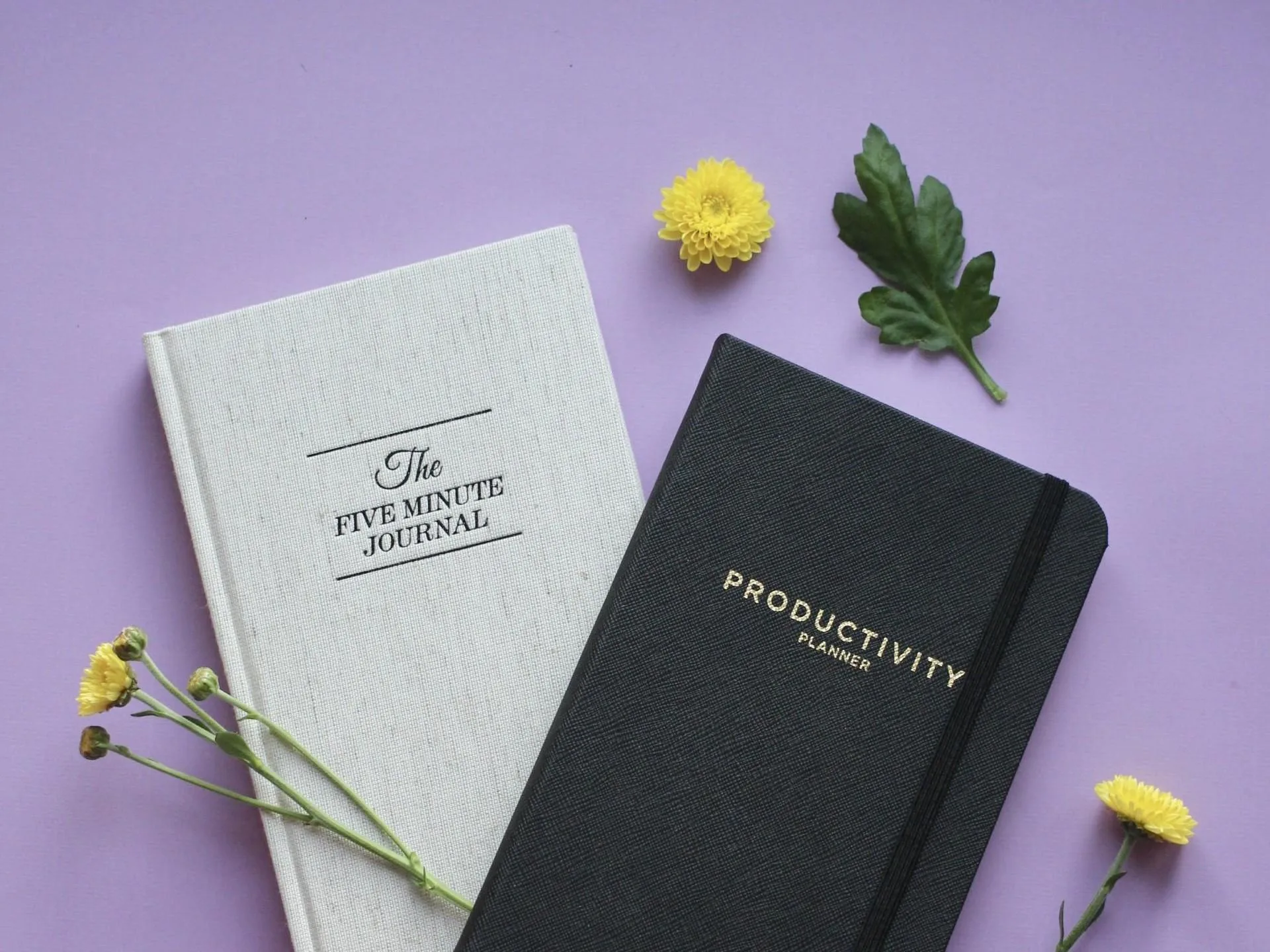 midfulness päiväkirjat