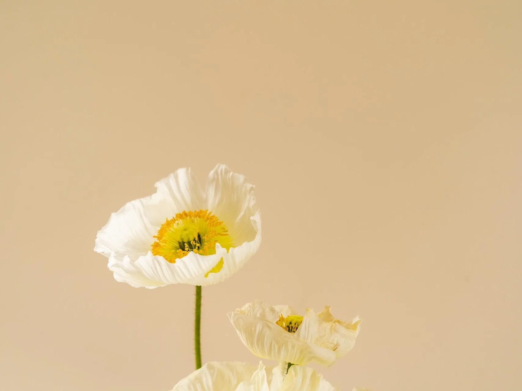 vaihdevuodet ja kesähelle