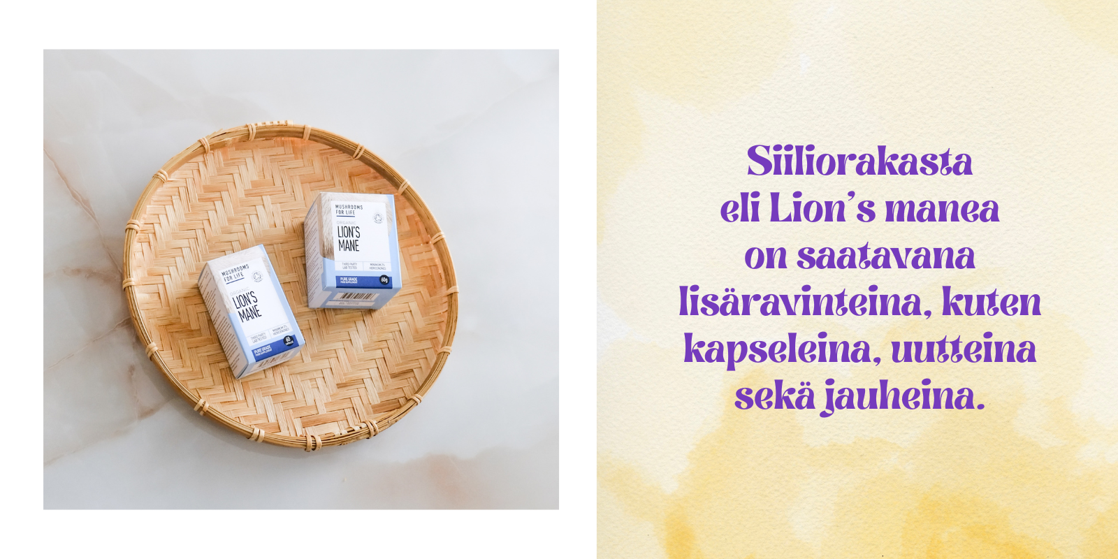 Siiliorakas jauheena ja kapselina
