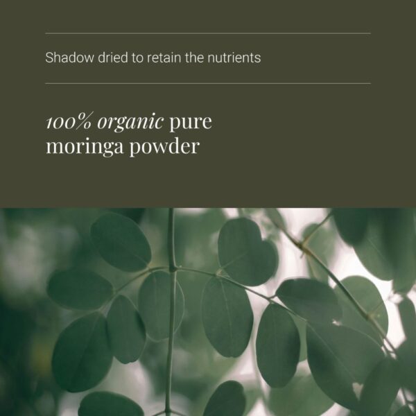 KIKI Health Moringa-jauhe