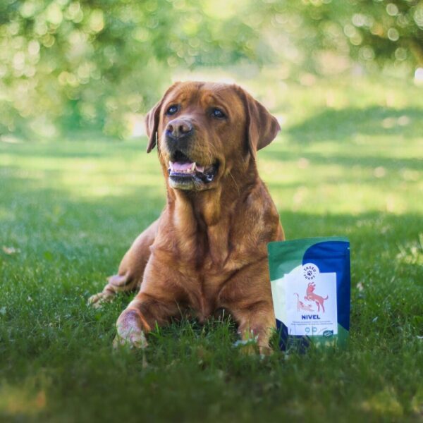 Tassu Foods Nivel koiran ja kissan nivelille