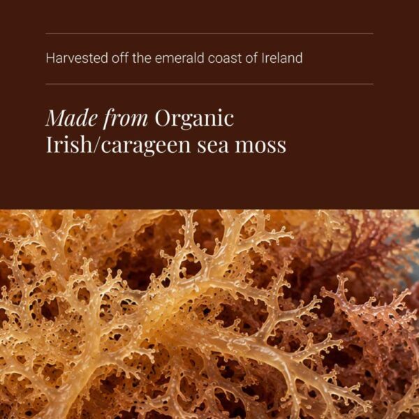 KIKI Health Irlanninsammal Irish Sea Moss sisältää luonnollisesti jodia