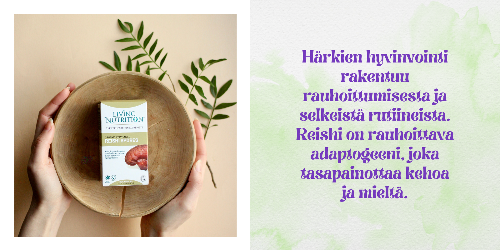 Astrologinen hyvinvointiopas: Miten härkä palautuu kiireen keskellä?