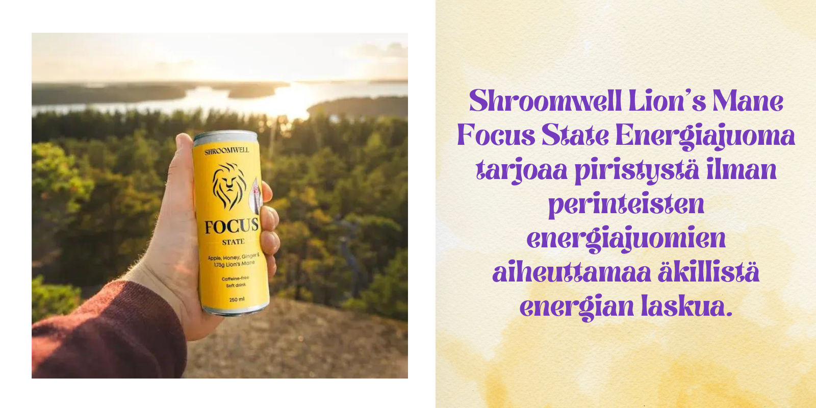 Sokeriton energiajuoma Lion's Mane sienellä