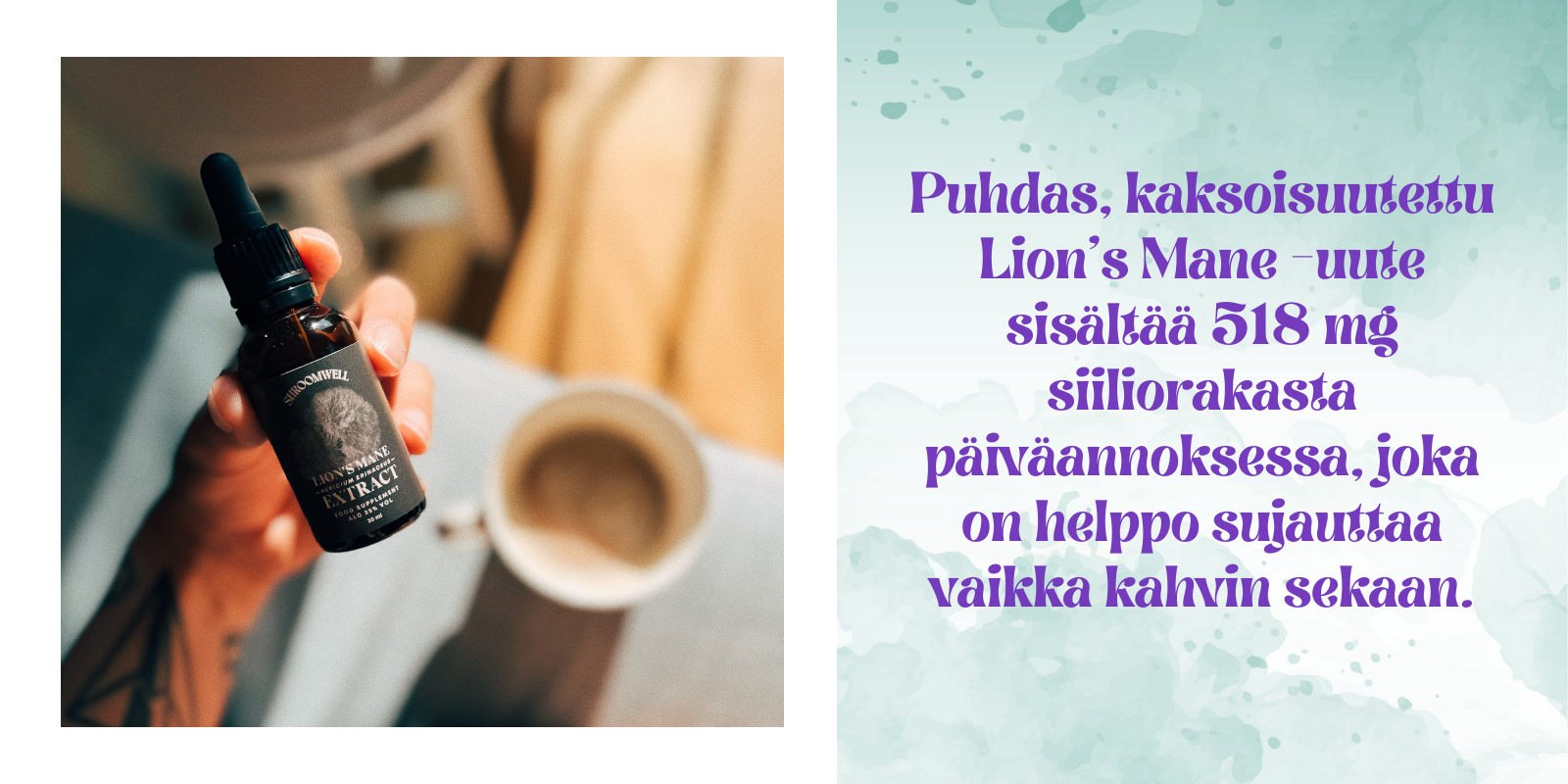 Lion’s Mane lisää aivojen hermokasvutekijän (NGF) tuotantoa – tämä voi tukea muistia ja oppimiskykyä luonnollisesti.
