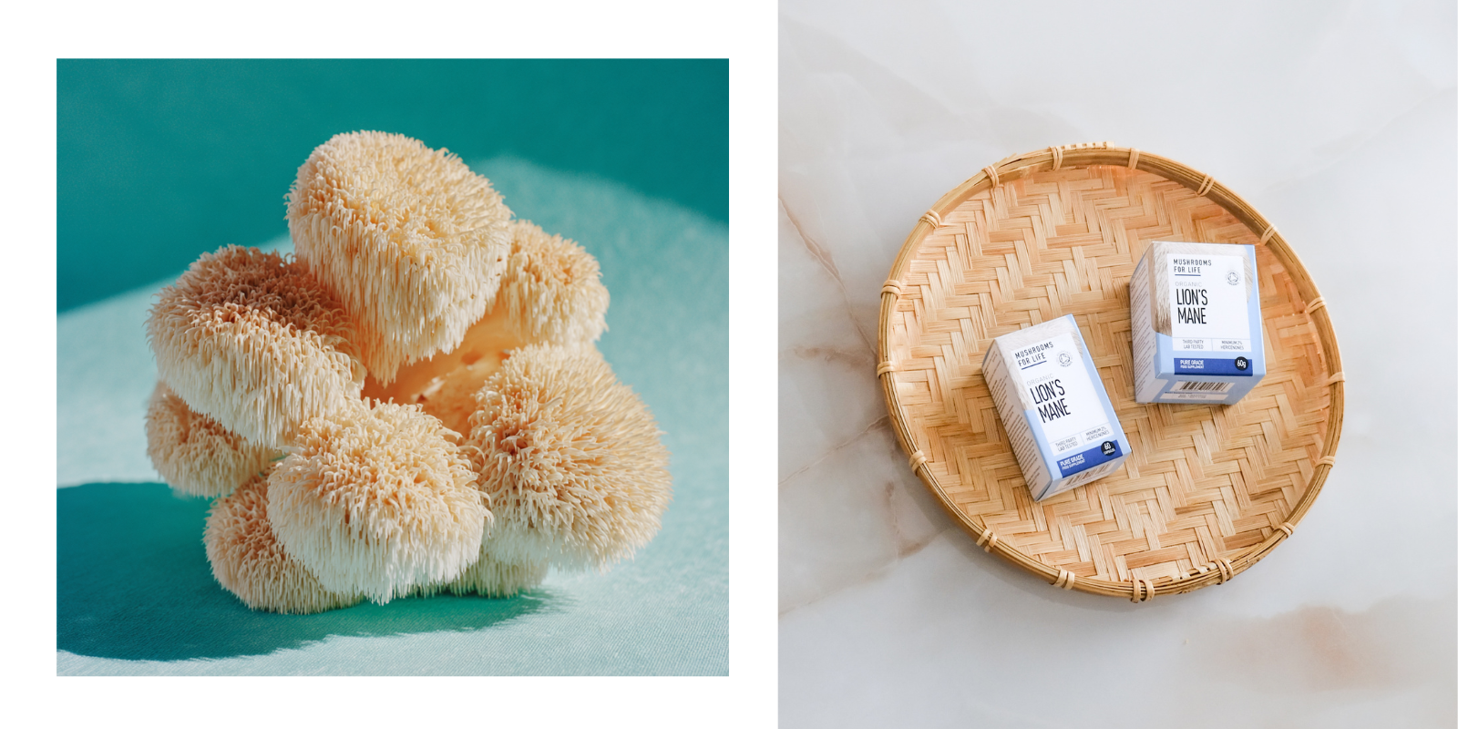 Luonnollinen nootrooppi – lion’s mane – kiinnostaa etenkin biohakkeroinnin ja kognitiivisen hyvinvoinnin kentällä.”