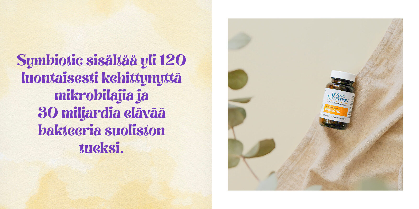 Living Nutrition Symbiotic