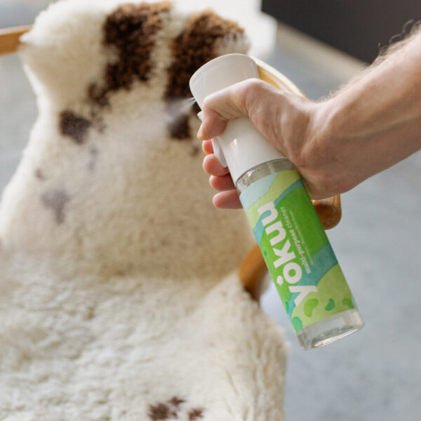 Yokuu Multi-Purpose Cleaner Starttipakkaus sisältää kestopullon ja yhden probioottihelmen