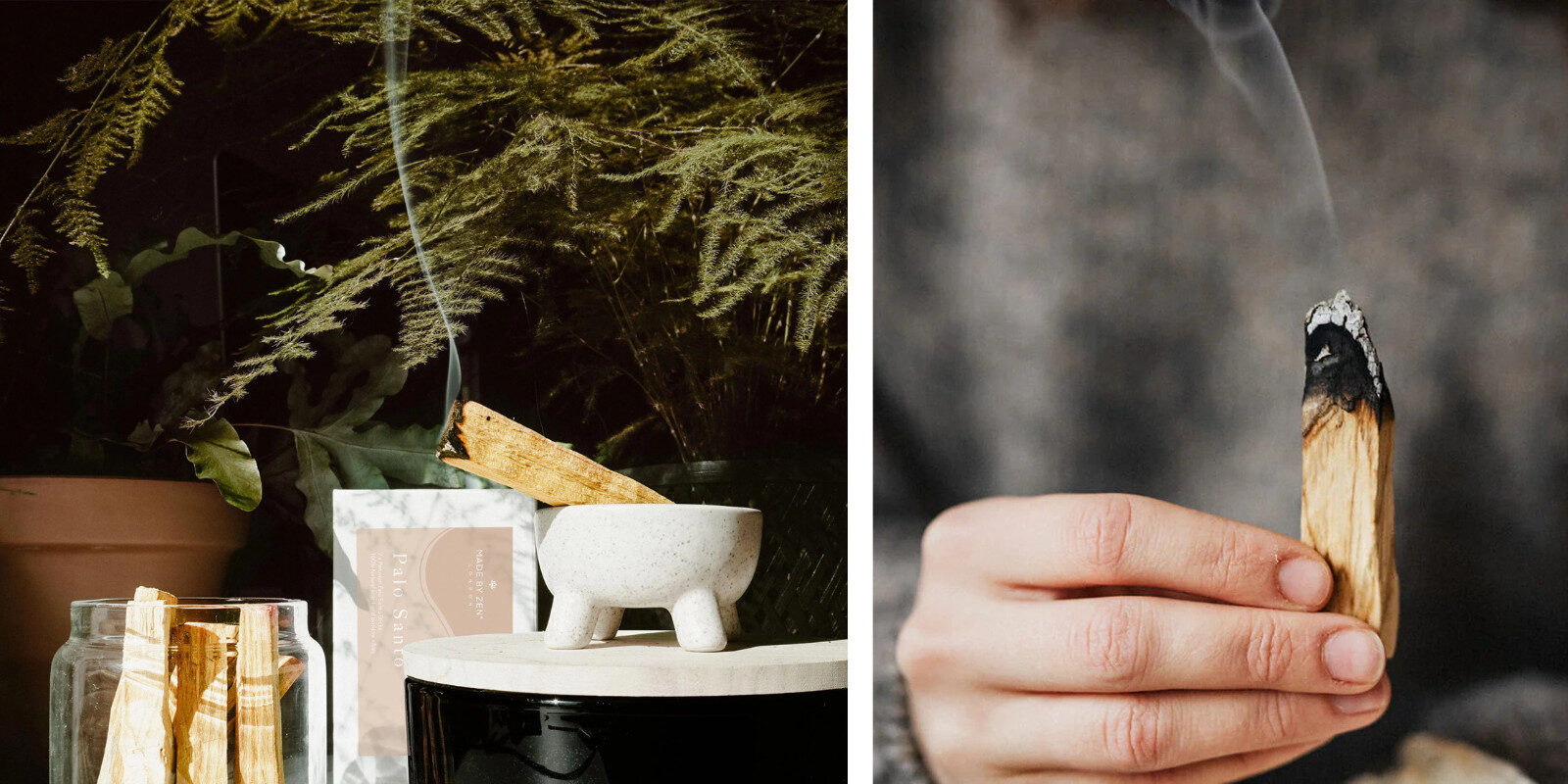 Parantavien ominaisuuksiensa vuoksi Palo Santo puun tai oksien on kuoltava luonnollisesti ja annettava olla maassa useita vuosia ennen kuin sen pyhät ominaisuudet aktivoituvat.