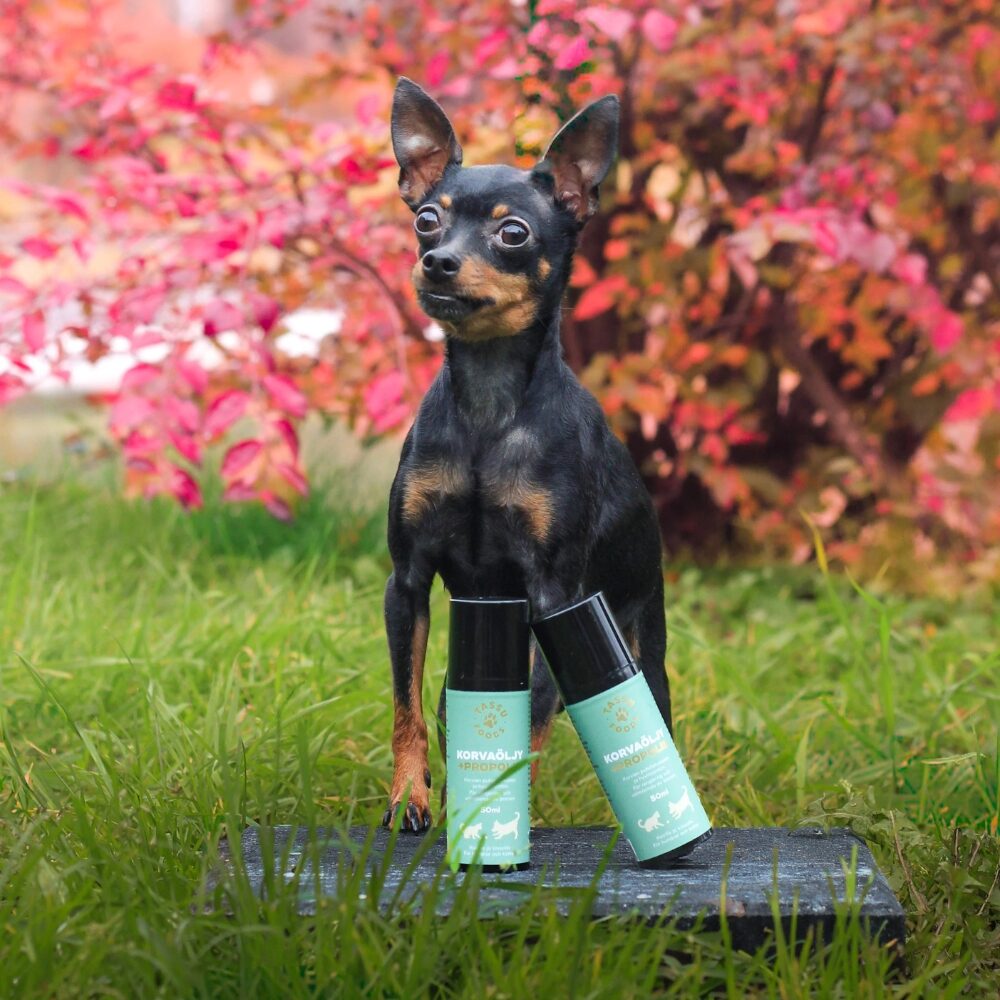 Tassu Foods Korvaöljy + Propolis on suunniteltu koirille ja kissoille säännölliseen korvien puhdistukseen.