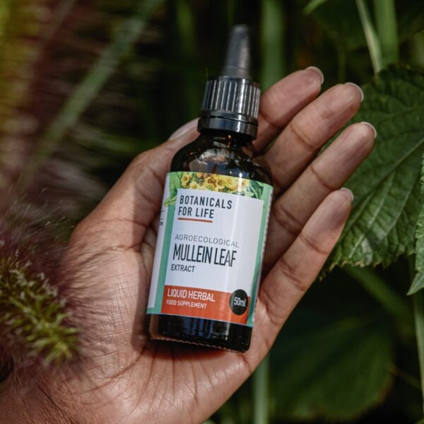 Botanicals For Life agroekologisesti viljelty ukontulikukkauute (Verbascum thapsus) on valmistettu vastuullisesti luontoa kunnioittaen. Alkoholiton uute.