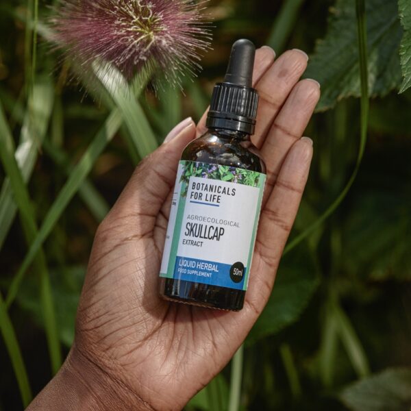 Botanicals For Life agroekologisesti viljelty rohtovuohennokkauute (Scutellaria lateriflora) tuo tämän yrtin lempeän voiman osaksi arjen rutiineja.