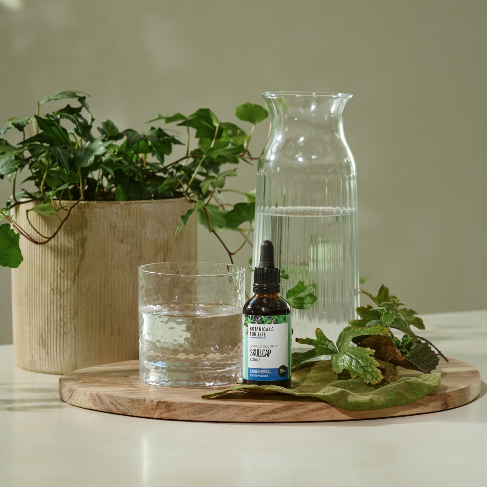 Botanicals For Life agroekologisesti viljelty rohtovuohennokkauute (Scutellaria lateriflora) tuo tämän yrtin lempeän voiman osaksi arjen rutiineja.