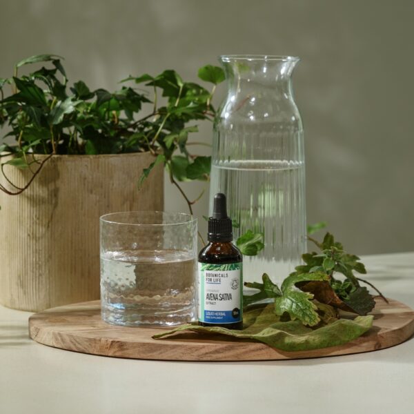 Botanicals For Life luomulaatuinen kauranversouute (Avena sativa) tukee ruoansulatusta