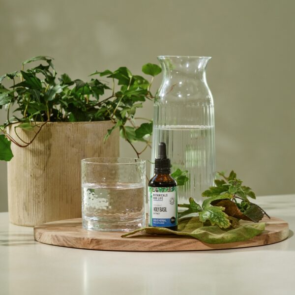 Botanicals For Life luomulaatuinen pyhä basilika -uute tuo tämän aurvedassa arvostetun yrtin helposti osaksi arkeasi! Tukea kehon ja mielen tasapainolle.