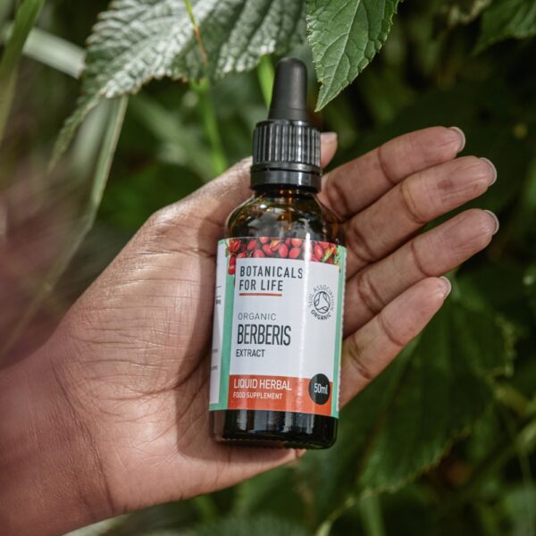 Botanicals For Life luomulaatuinen berberisuute tunnetaan myös nimellä ruostehappomarja. Berberis tukee ruoansulatuskanavan terveyttä.