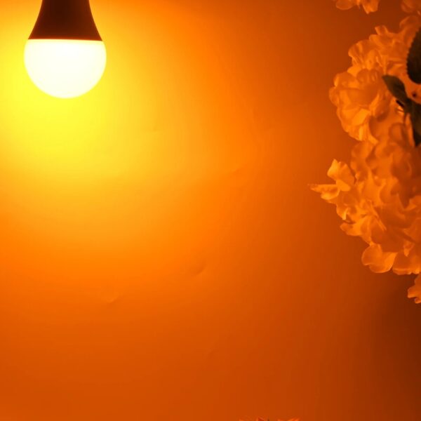 Aurinko luonnonvalopolttimessa on kolme valotilaa: kirkas päivänvalo, lempeä iltavalo ja täysin sinivaloton yövalo. Ei vilkkumista tai EMF-kuormitusta.