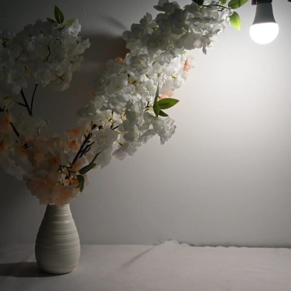 Aurinko luonnonvalopolttimessa on kolme valotilaa: kirkas päivänvalo, lempeä iltavalo ja täysin sinivaloton yövalo. Ei vilkkumista tai EMF-kuormitusta.