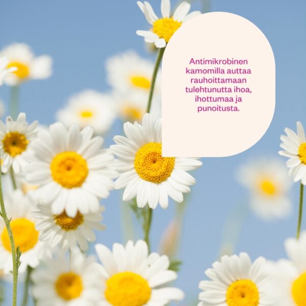 Probioottinen luomu kamomillavesi kosteuttaa ja rauhoittaa herkkää ja ärtynyttä ihoa. Kotimaista luonnonkosmetiikkaa.