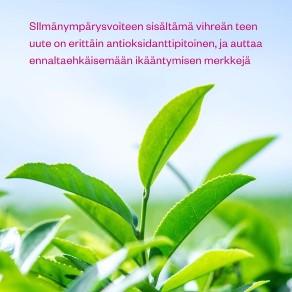 Flow Cosmetics Green Tea & Peptide Eye Cream on tehokkaasti kosteuttava, kirkastava ja silottava silmänympärysvoide. Kotimaista luonnonkosmetiikkaa.