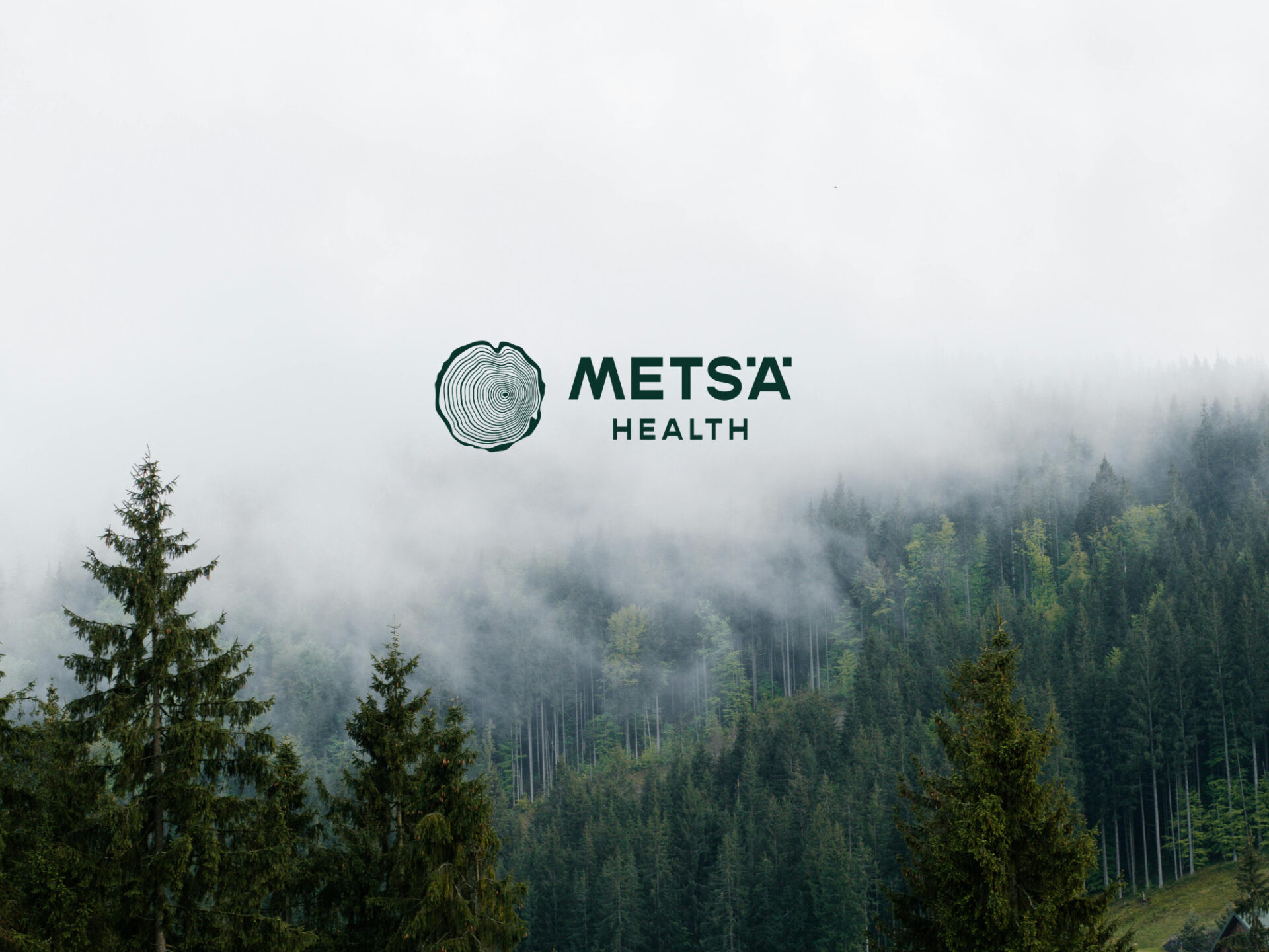 Metsä Health on suomalainen ravintolisävalmistaja, joka ammentaa inspiraationsa ja raaka-aineensa Suomen puhtaista metsistä.