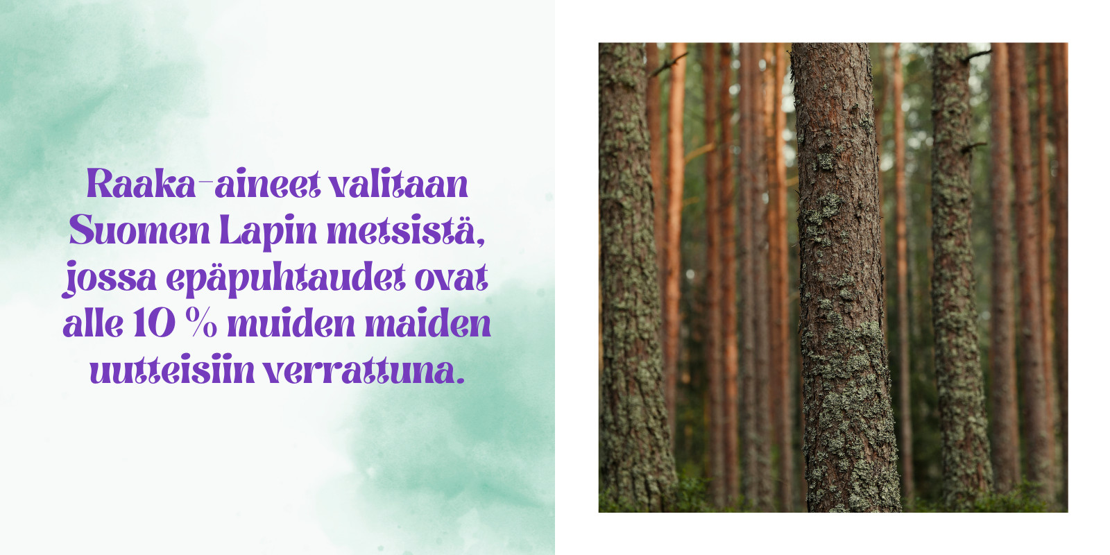 Metsä Health havupuujuomien valikoima, suomalaiset havupuu-uutejuomat