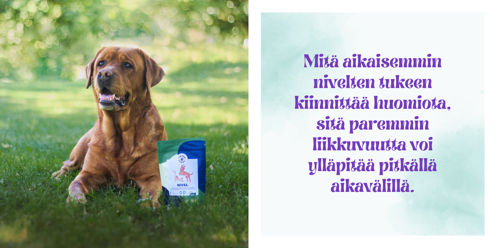 Nivelnamit koirille