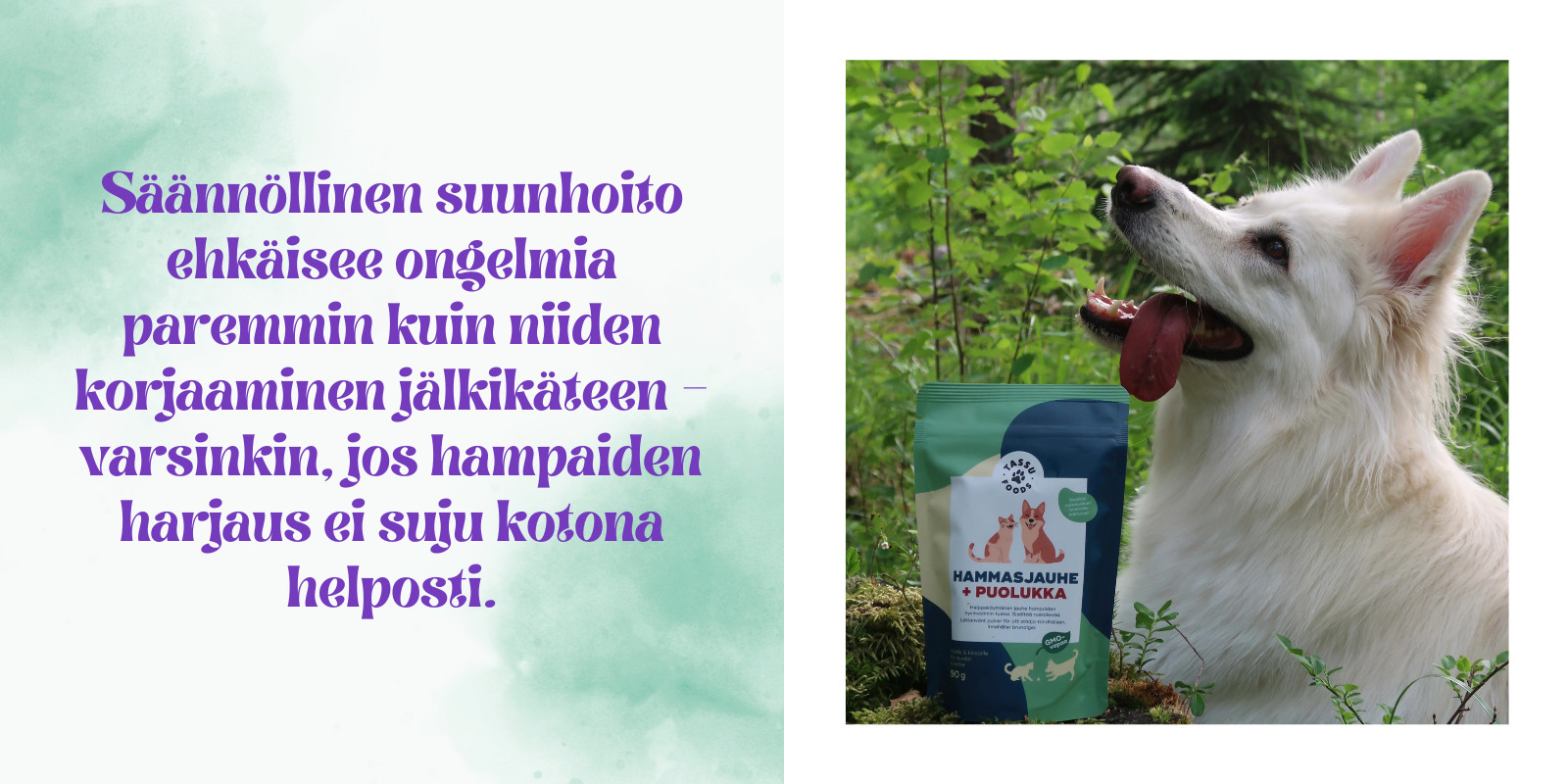 Tassu Foods hammasjauhe koiralle ja kissalle tekee lemmikin suun ja hampaiden hoidosta helpon osan päivittäisiä rutiineja.