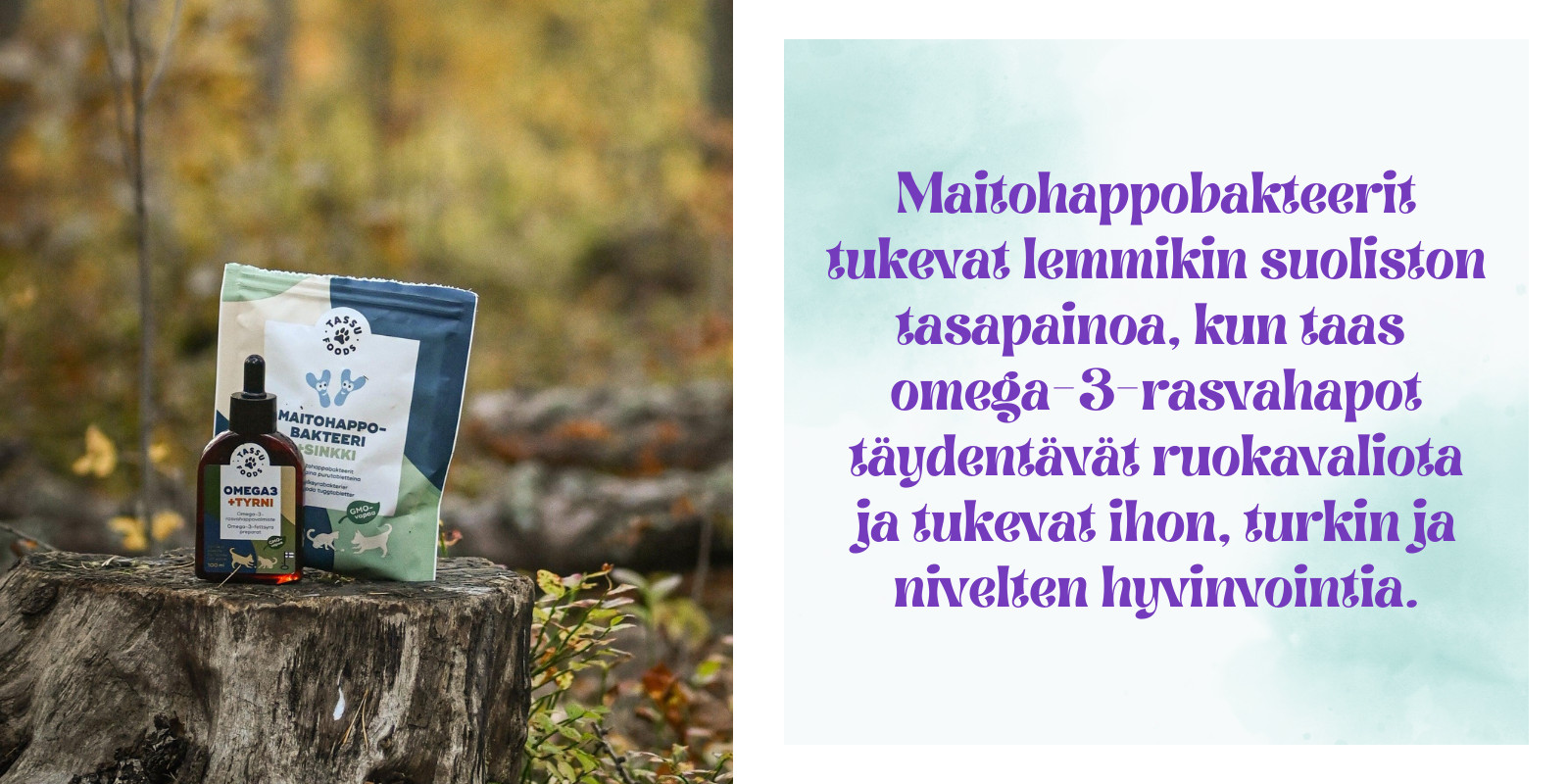 Maitohappobakteerit ja omega-3 koiralle tai kissalle ovat helppo tapa täydentää lemmikin ruokavaliota ja tukea hyvinvointia monipuolisesti.